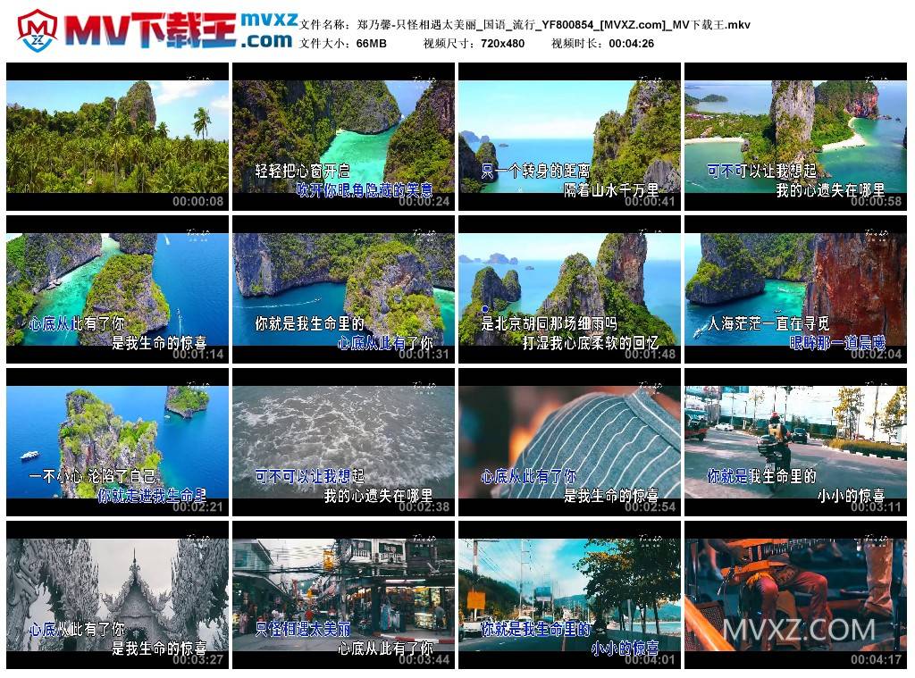 郑乃馨-只怪相遇太美丽_国语_流行_YF800854